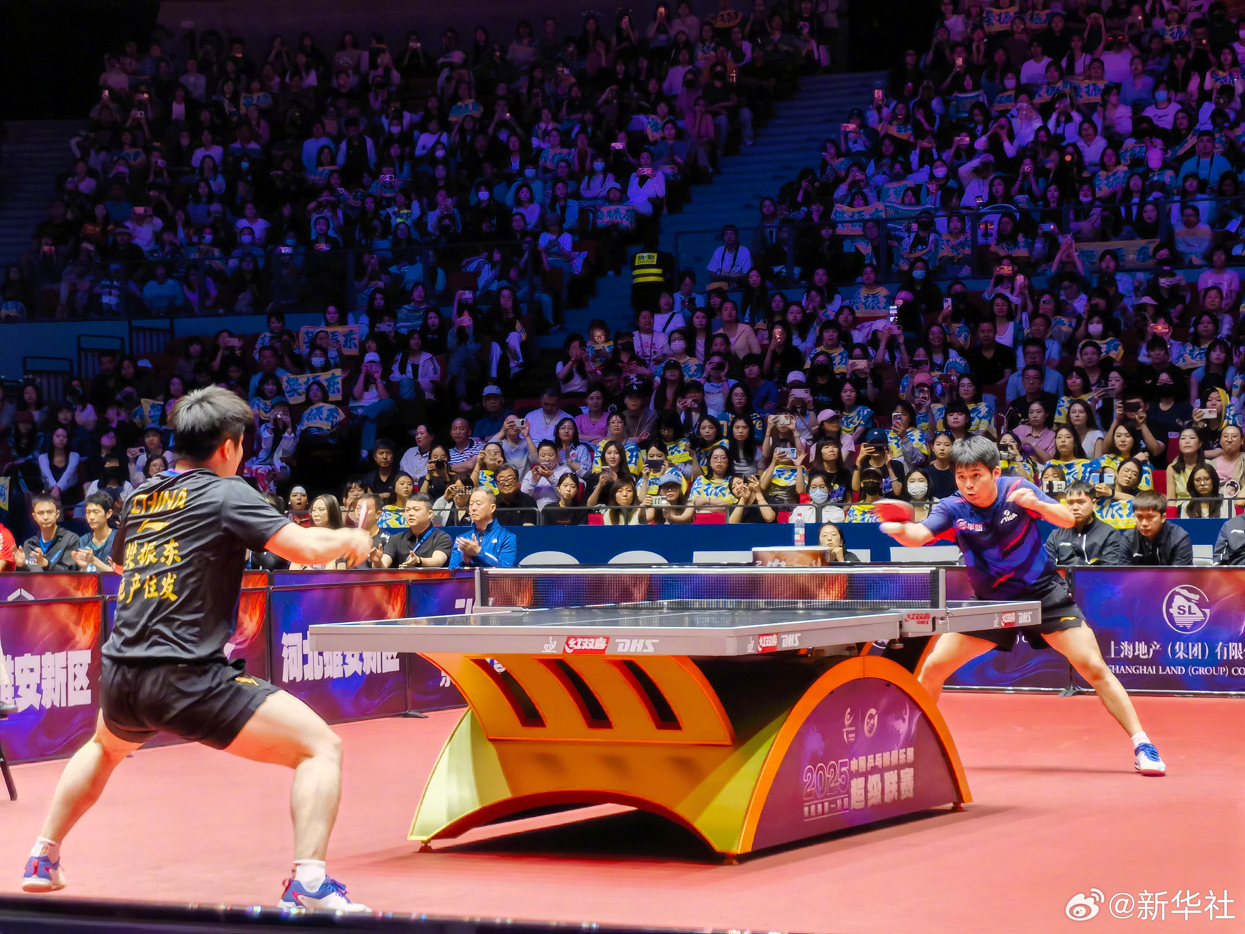 中国乒乓球队横扫波兰乒乓球队，樊振东统治全场