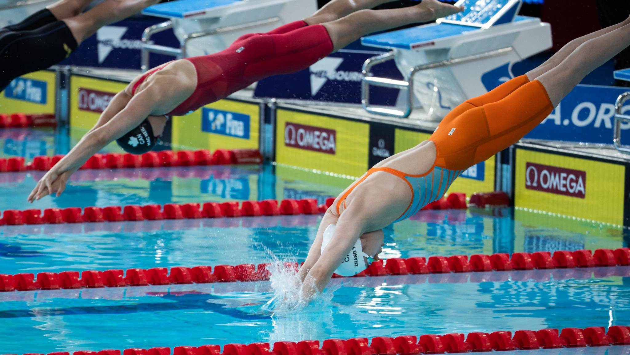 游泳赛事精彩瞬间盘点，年度回顾震撼登场的简单介绍