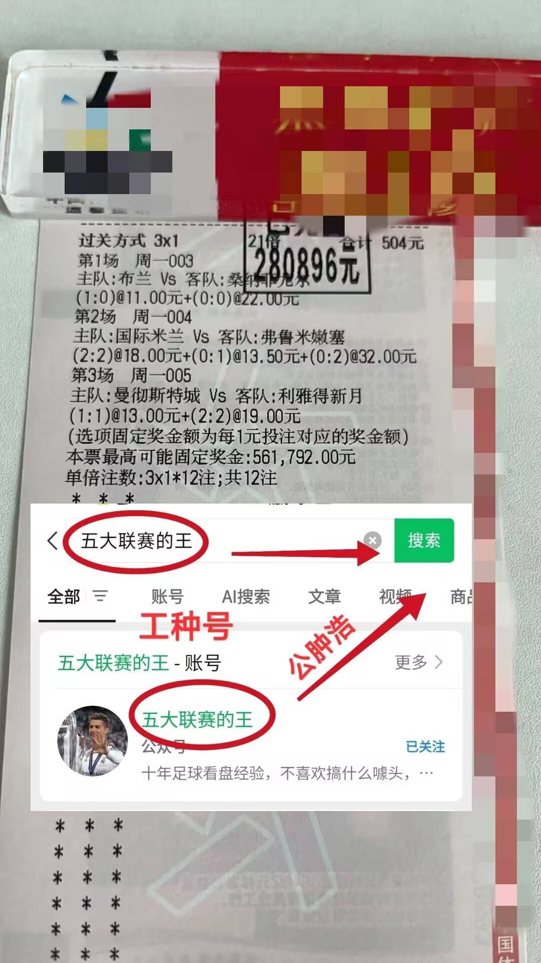 最新战报：竞猜热点豪取连胜，冠军在望的简单介绍