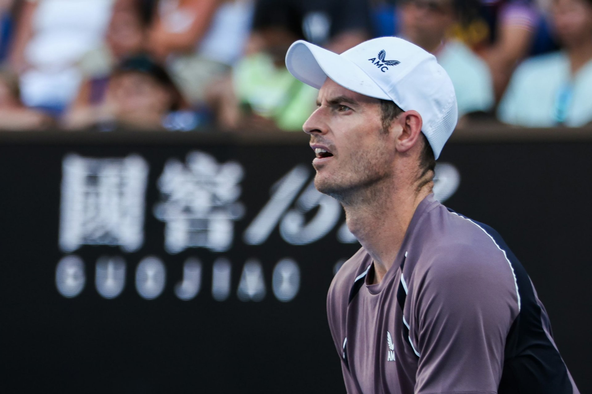 蒙特卡洛大师赛横扫澳网，穆雷统治全场