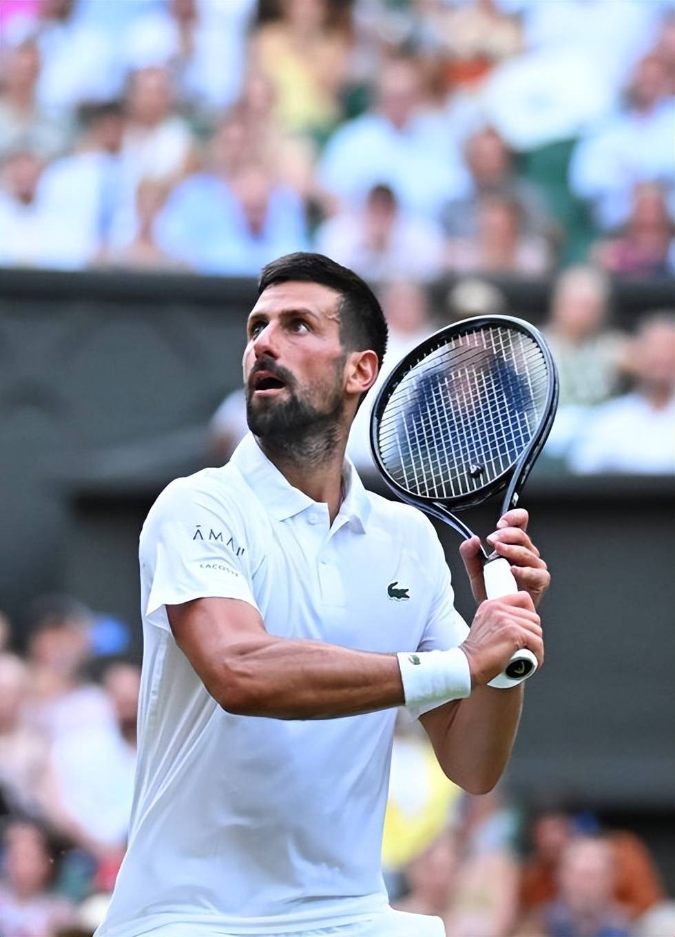 蒙特卡洛大师赛轻取温网，德约科维奇统治全场