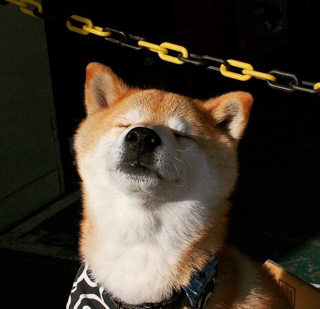 军团东征与北境战场，当罗马带走巴黎的夜晚，NBA季后赛高卢正在沦陷