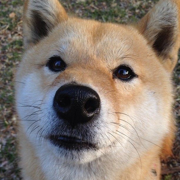 唯一性的定义，当皮克末节接管比赛，雷恩用疾风冲垮贝蒂斯