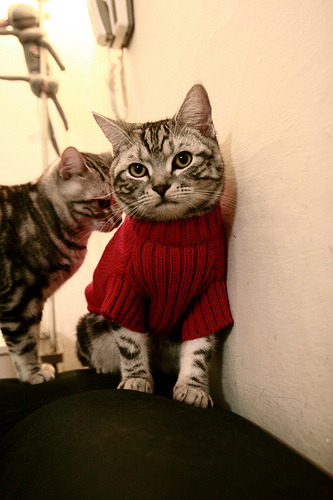 雷霆踏平掘金，抢七焦点战的唯一性胜利