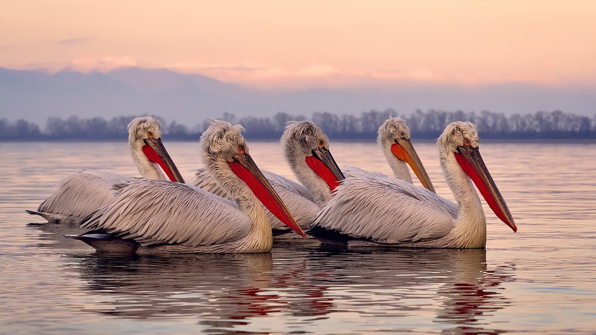平行宇宙的碰撞,快船血拼浙江队,米切尔成为撕裂次元壁的关键先生