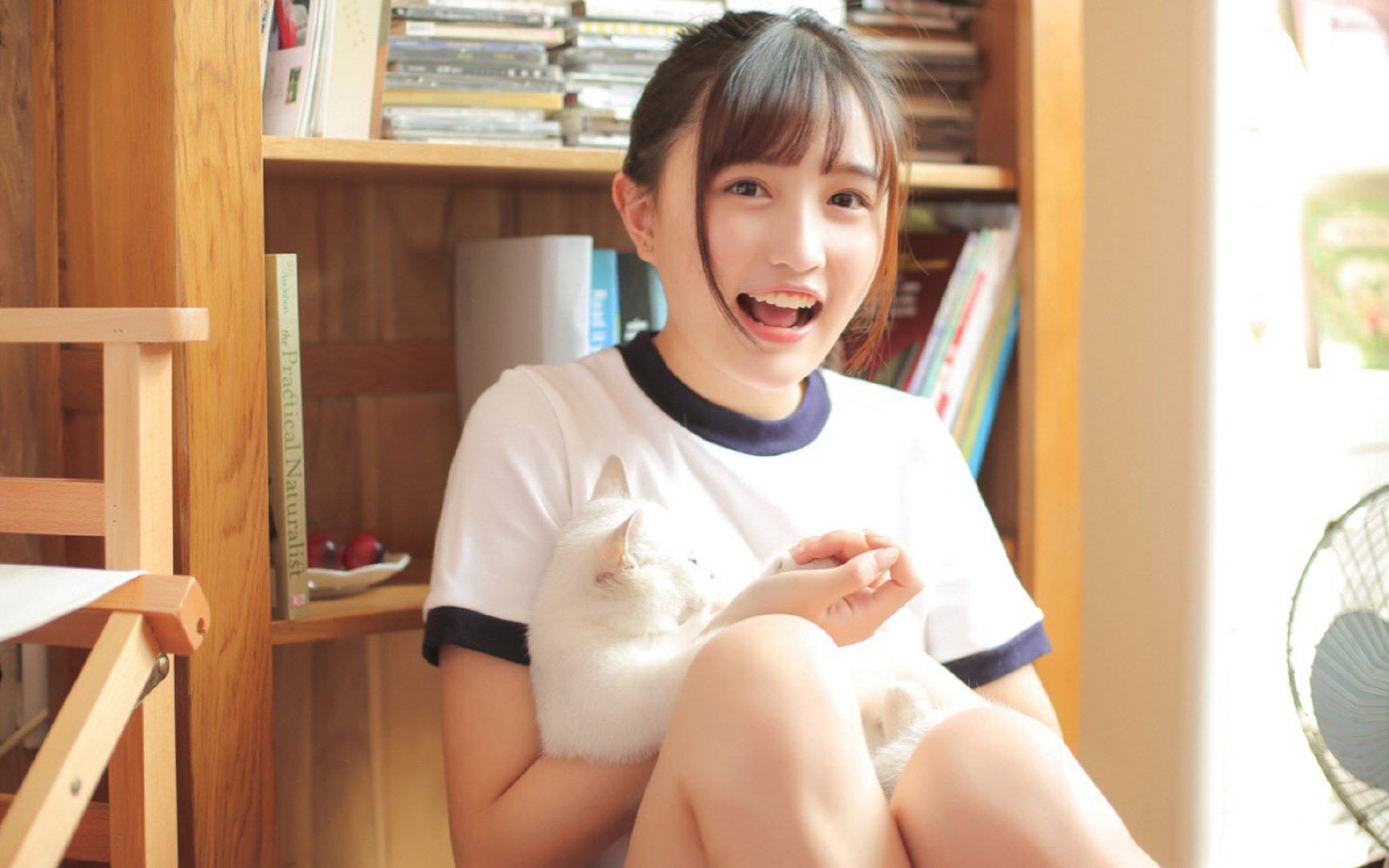 平行世界的巅峰,当温布利遇见橄榄球之巅—足球与橄榄球的双重狂想曲