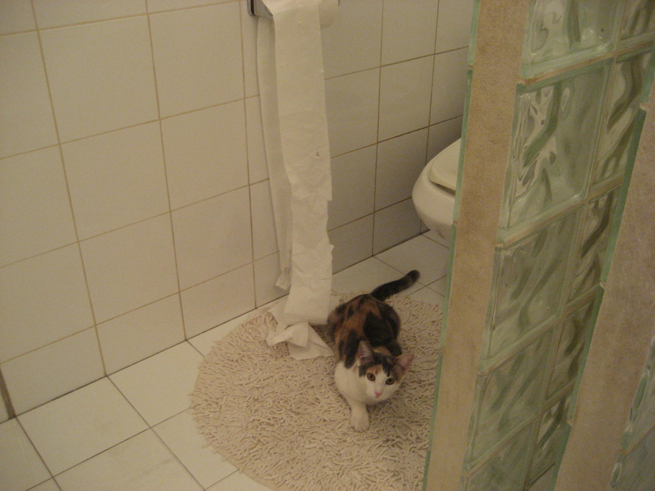 掌控比赛的艺术，罗德里戈引领几内亚决胜局击败加纳