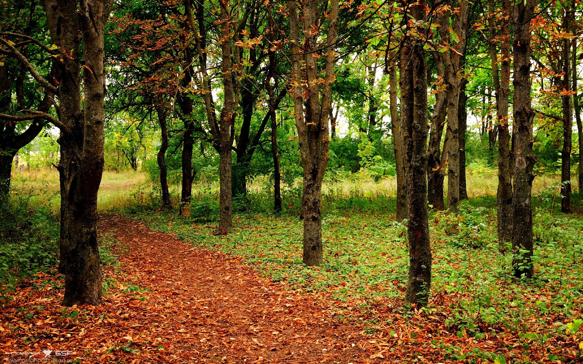 奥纳纳，一位关键先生如何让铁血毕尔巴鄂加时啃下曼城？