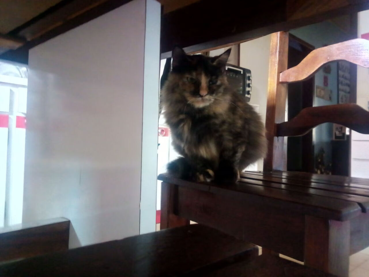 锋群咆哮破魔术！森林狼抢七决胜缔造历史