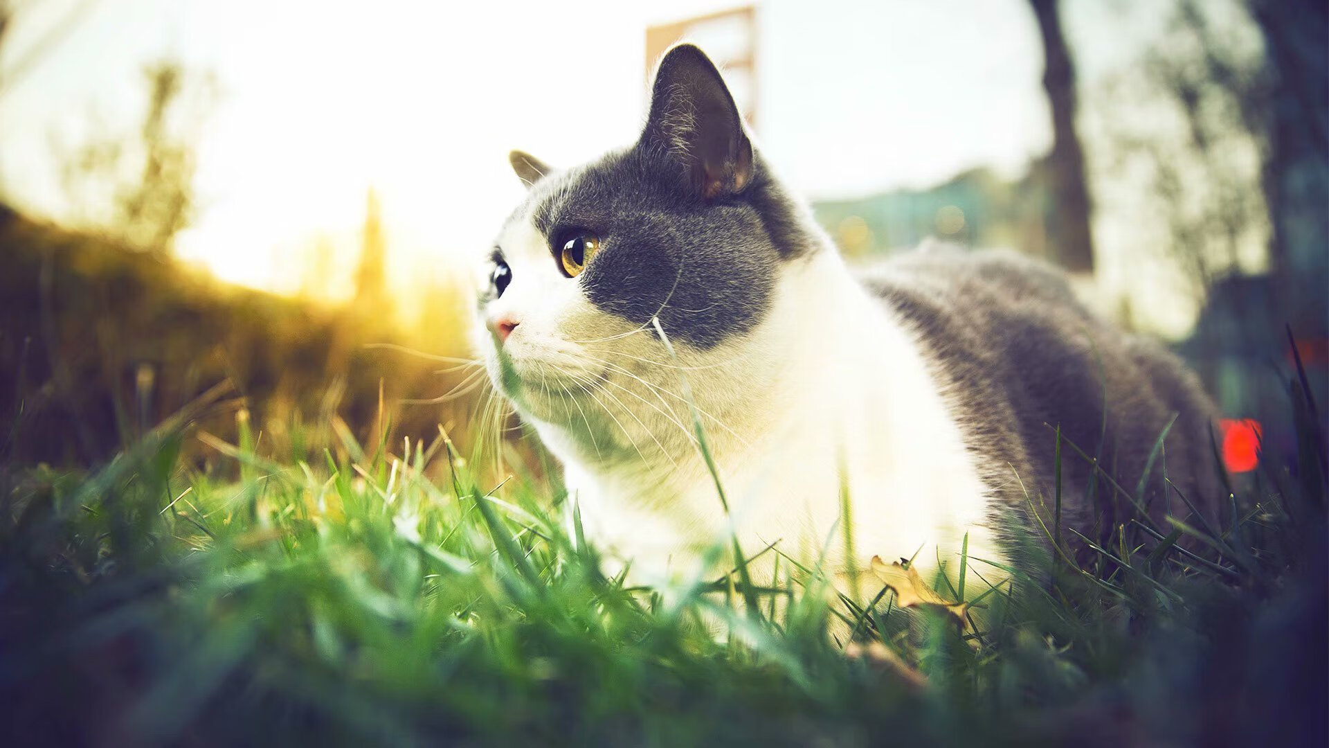 欧冠式东决关键战之夜，德里赫特化身篮筐守护神