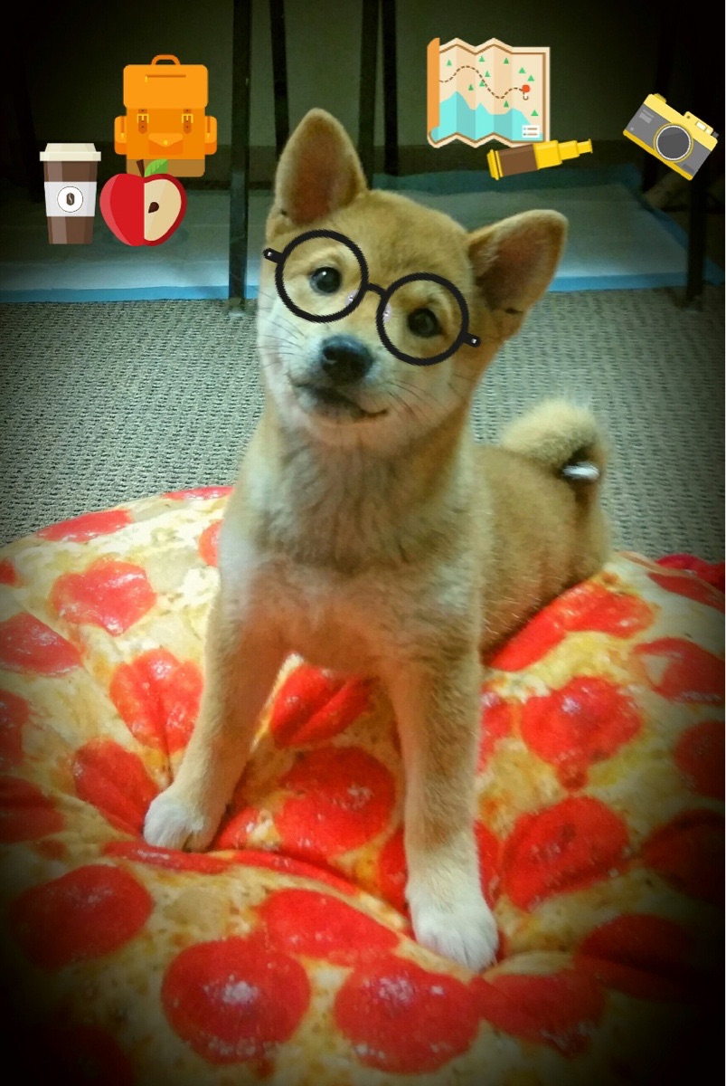 铁壁与利刃的对话，格列兹曼一锤定音，尤文关键战惊险突围