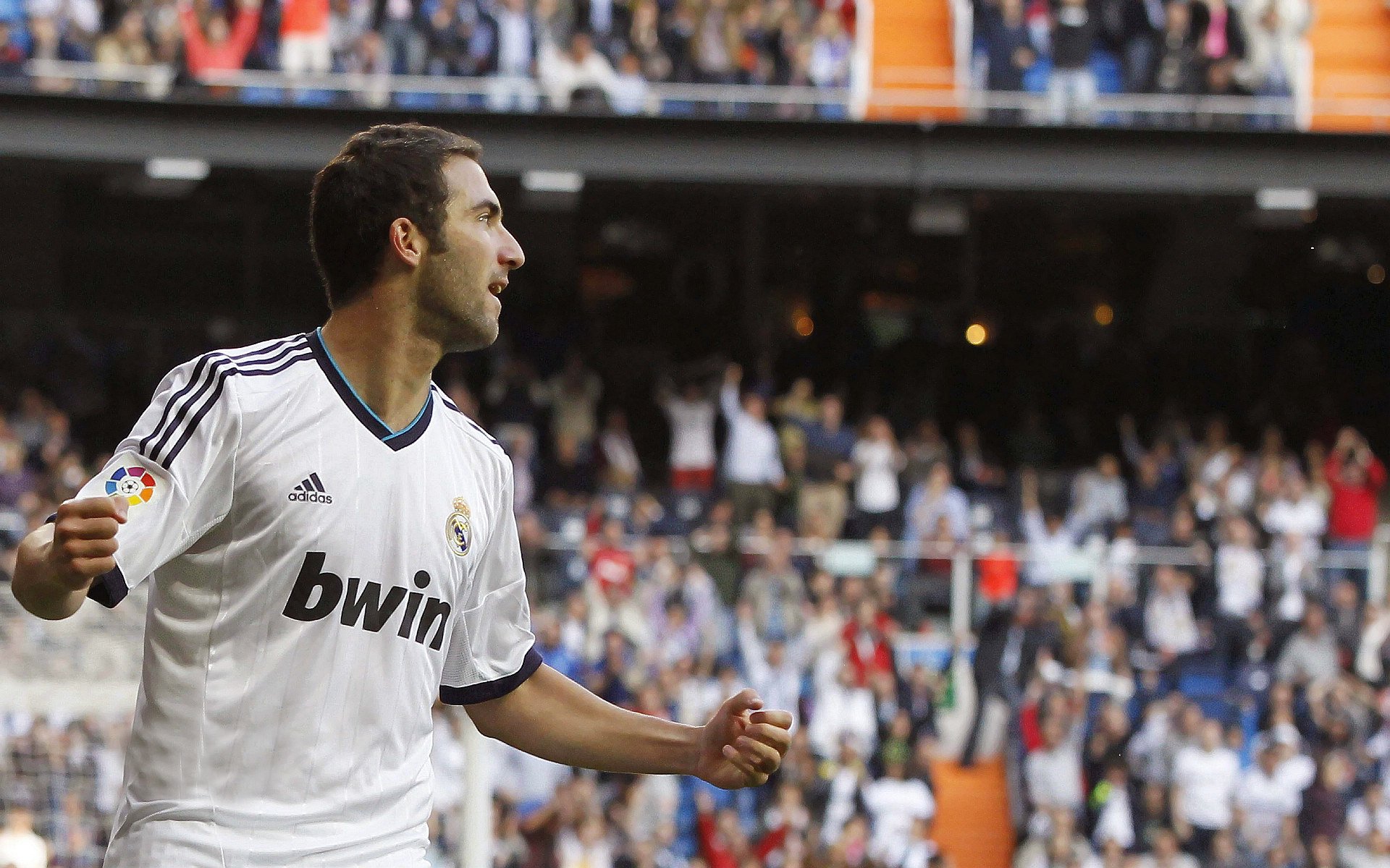 跨界竞技场的绝对掌控者