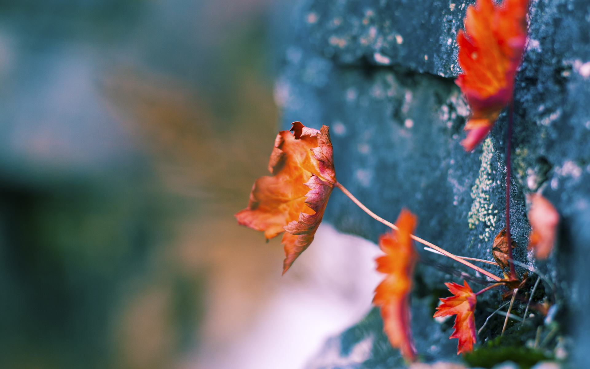第四节风暴！杰伦·格林用两次致命抢断导演勇士奇袭，让76人三节努力化为泡影