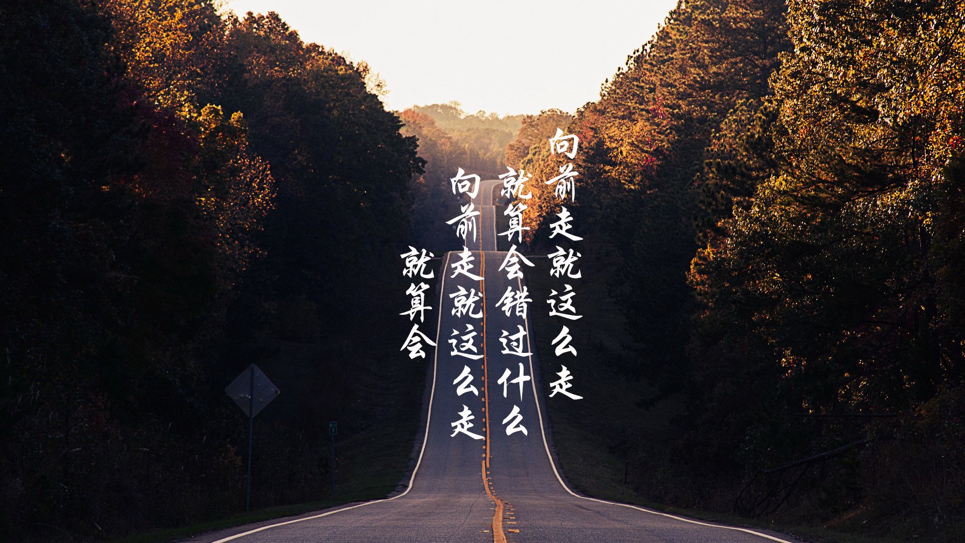 沙漠风暴席卷欧陆,沙特2026世界杯关键战击溃比利时,努涅斯用默契谱写绿洲神话