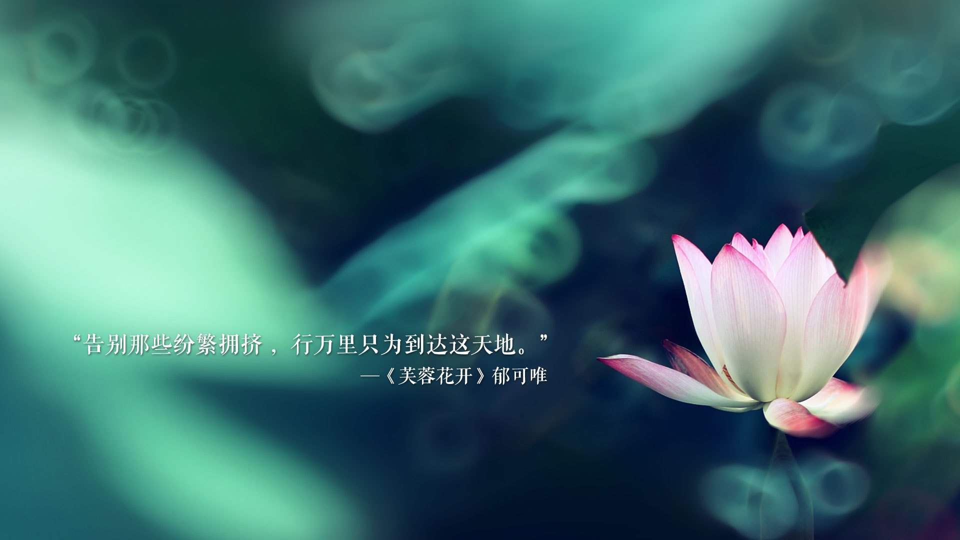 冰与火之歌,2026世界杯冰岛绝杀意大利,托纳利独舞中场的史诗级碾压