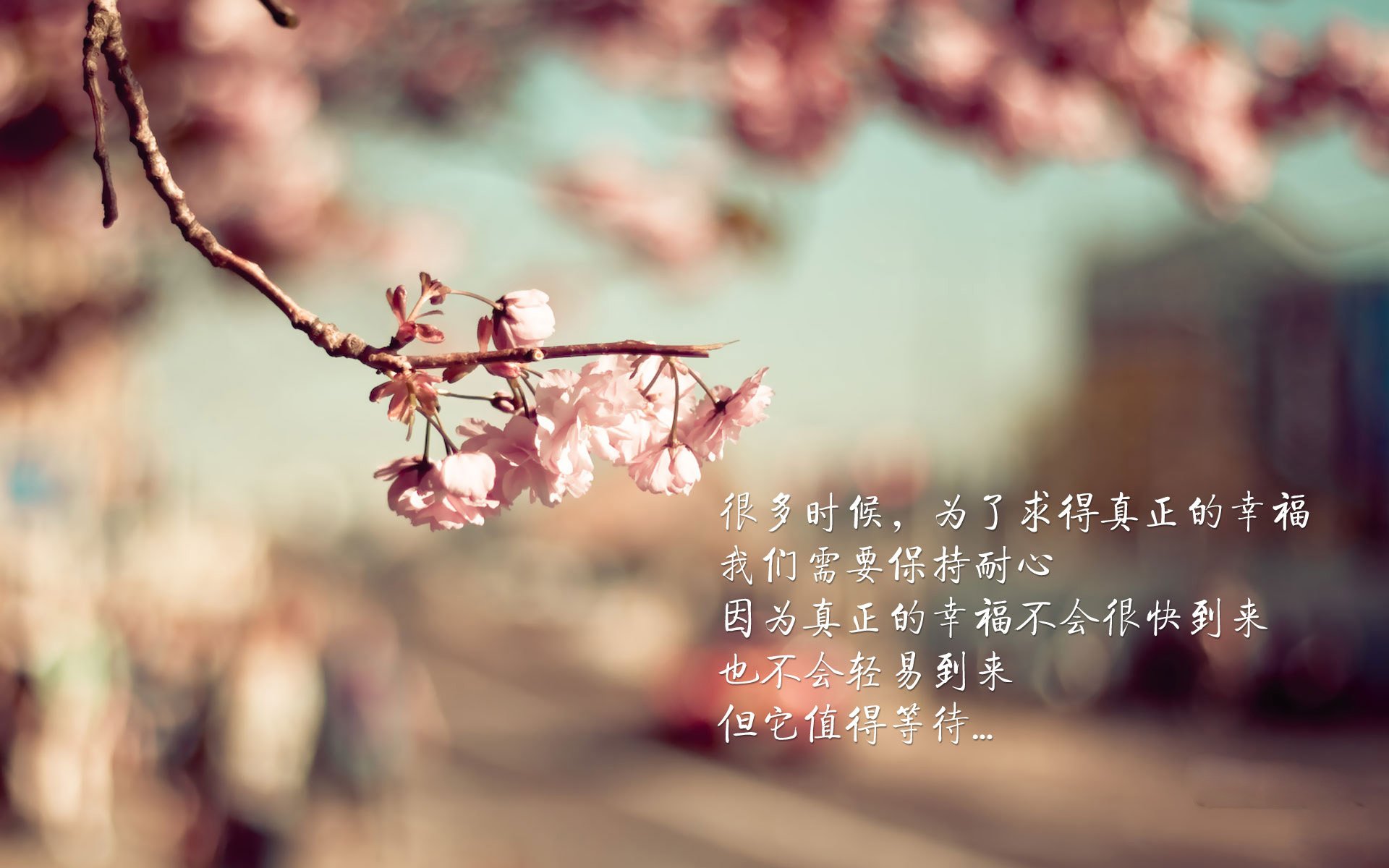 冰与火之歌，2026世界杯F组，泰国风暴席卷北欧，拉什福德独舞点亮强强对话之夜