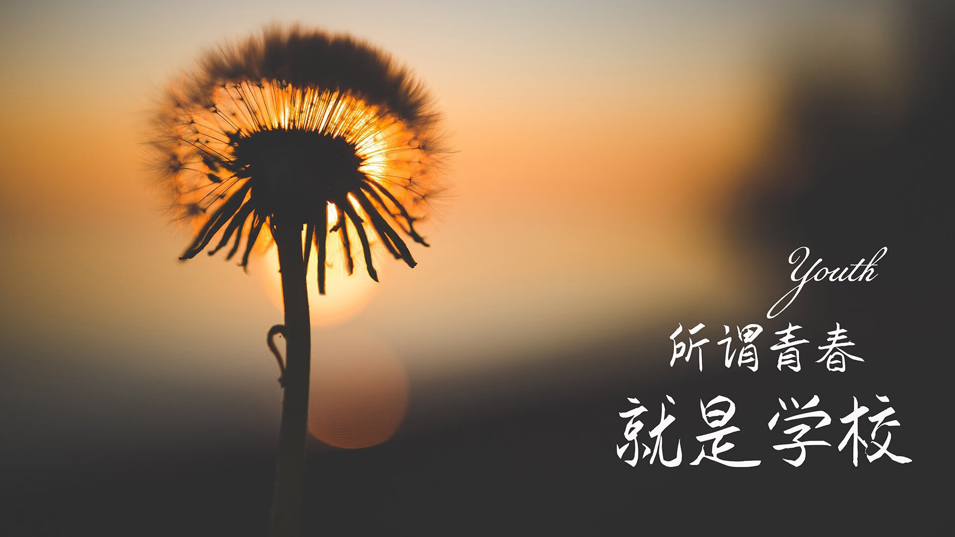 这是一篇基于您提供的关键词构思的文章。标题采用了悬念+爆点的结构,内容则围绕唯一性与史诗逆转展开,强调这场比赛在世界杯历史上的不可复制性