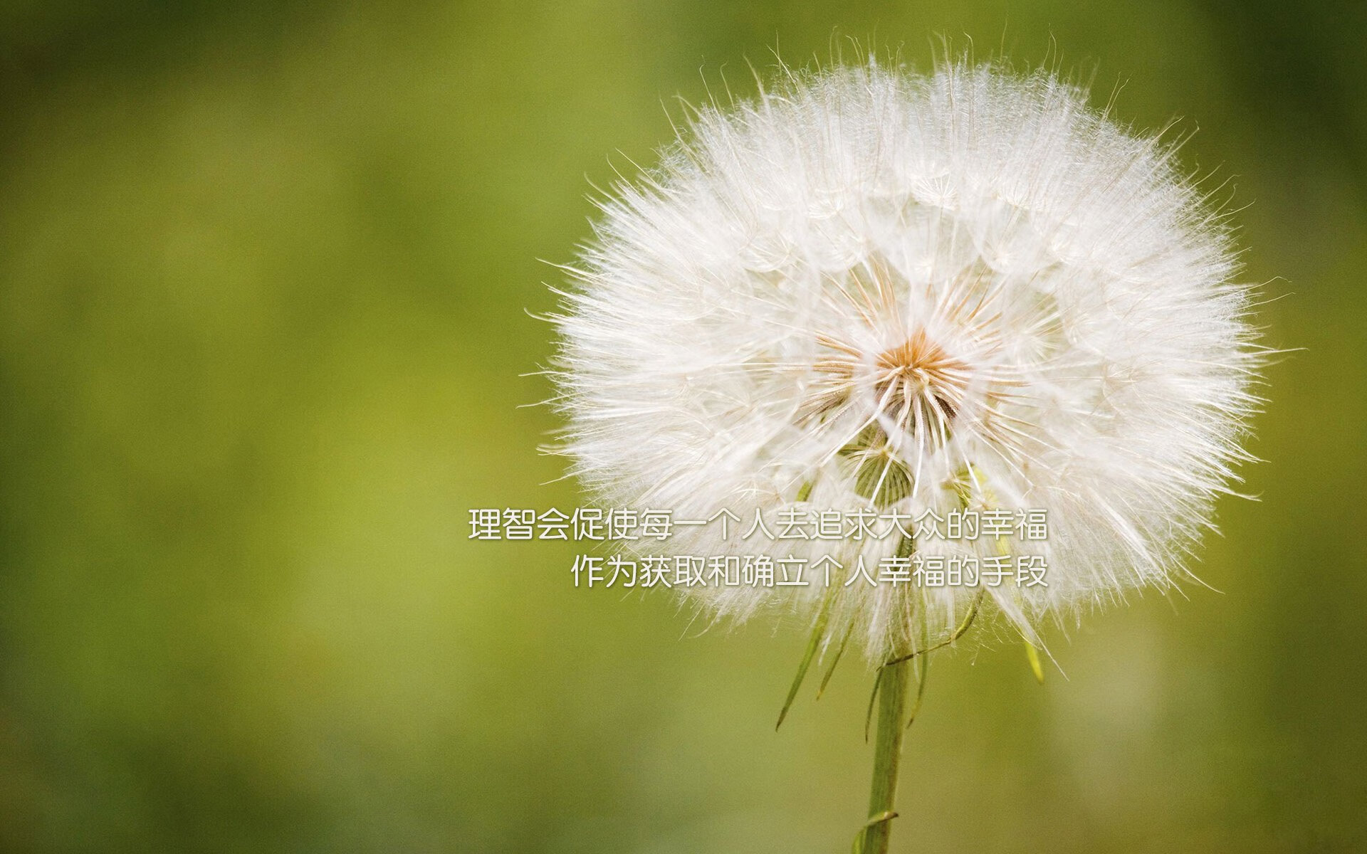 逆转的神谕，当齐耶赫在2026世界杯G组关键战中让印度碾压美国成为史诗